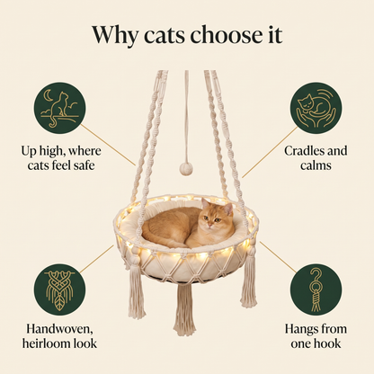 Why cats choose Purrcradle: up high where cats feel safe, cradles and calms, handwoven look, hangs from one hook